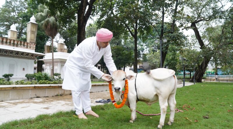 श्री गुरु राम राय विश्वविद्यालय में पहुंची  दुनिया की सबसे छोटी नस्ल की नैनो गाय
