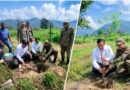 पौधे नहीं, भविष्य की हरियाली तैयार कर रहा एमडीडीए