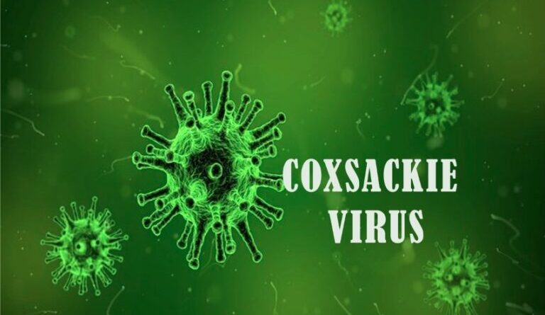 हाथ-पैर और मुंह पर दाने, तेज बुखार… उत्तरकाशी में 8 बच्चों में कॉक्ससैकी वायरस की पुष्टि
